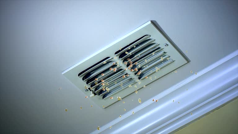 Best Professional Duct Cleaning Services  in Castlewood, VA